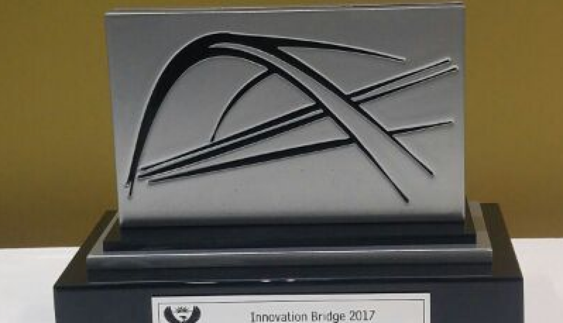 Innovation-Bridge-Social-Innovation-Award